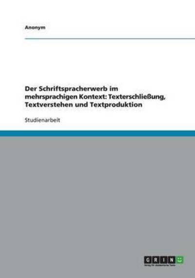 Cover for Sinner · Der Schriftspracherwerb im mehrs (Buch)
