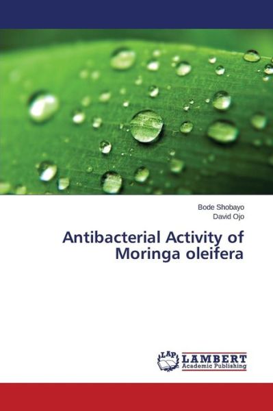 Cover for Shobayo Bode · Antibacterial Activity of Moringa Oleifera (Paperback Book) (2015)