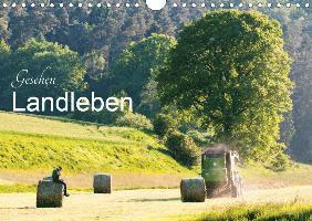 Cover for Balzer · Gesehen - Landleben (Wandkalende (Book)