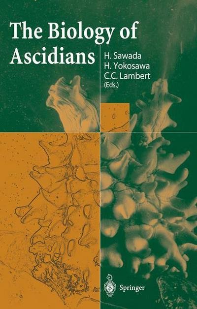 H Sawada · The Biology of Ascidians (Paperback Book) [Softcover reprint of the original 1st ed. 2001 edition] (2013)