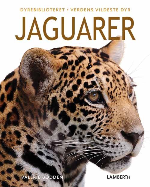 Cover for Valerie Bodden · Verdens vildeste dyr: Jaguarer (Bound Book) [1e uitgave] (2020)