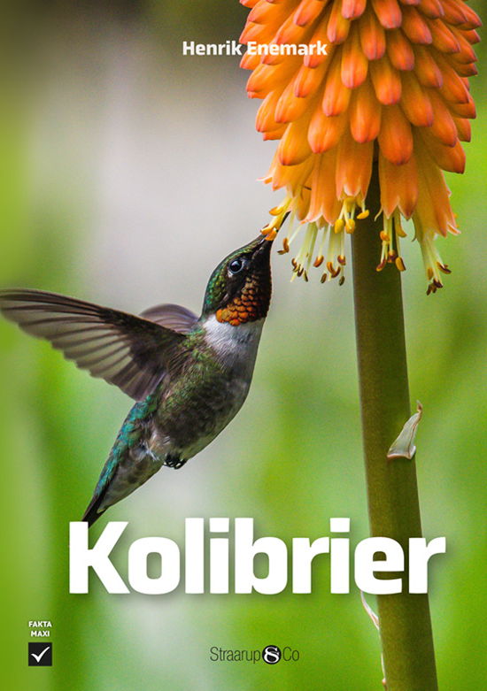Henrik Enemark · Maxi: Kolibrier (Hardcover Book) [1º edição] (2024)