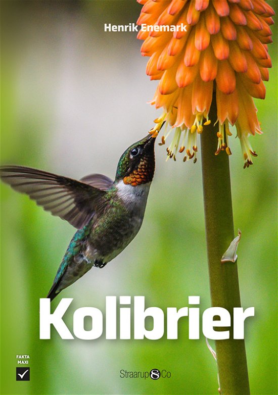 Cover for Henrik Enemark · Maxi: Kolibrier (Hardcover Book) [1º edição] (2024)