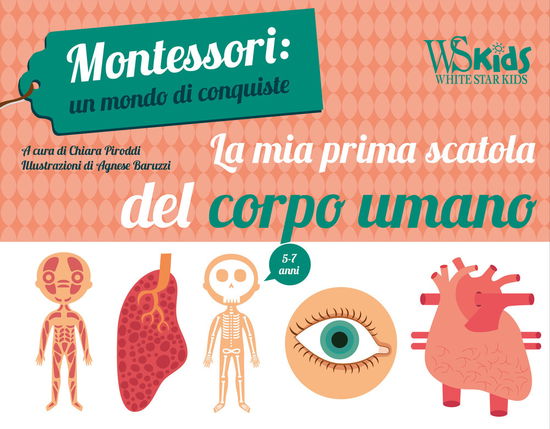 La Mia Prima Scatola Del Corpo Umano. Montessori: Un Mondo Di Conquiste. Con Poster. Con 15 Carte - Chiara Piroddi - Bücher -  - 9788854044845 - 