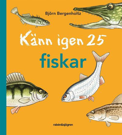 Känn igen 25: Känn igen 25 fiskar - Björn Bergenholtz - Książki - Rabén & Sjögren - 9789129673845 - 22 marca 2011