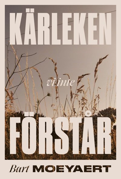 Cover for Bart Moeyaert · Kärleken vi inte förstår (ePUB) (2019)