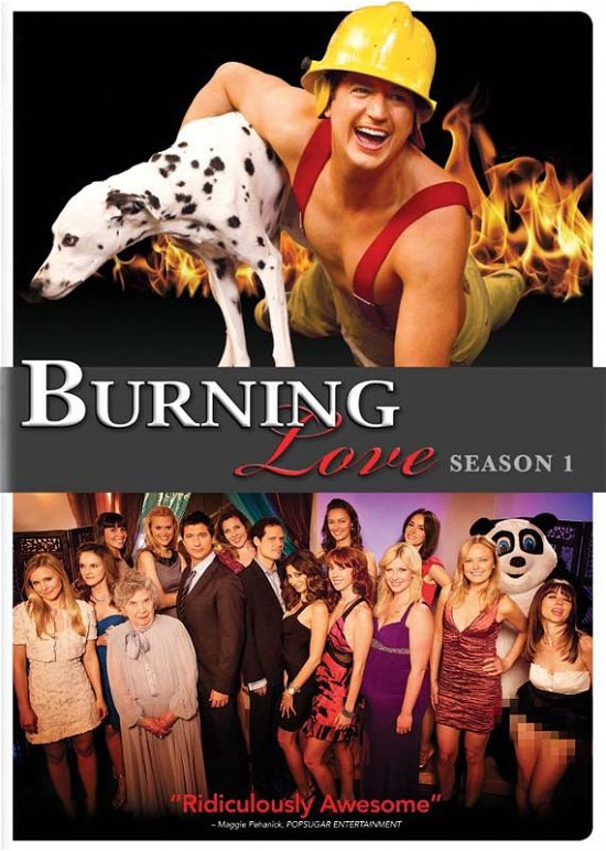 Cover for Burning Love: Complete First Season (DVD) (2013)