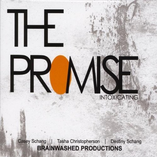Intoxicating - Promise - Musik - Brainwashed Productions - 0884501235846 - 1. december 2009