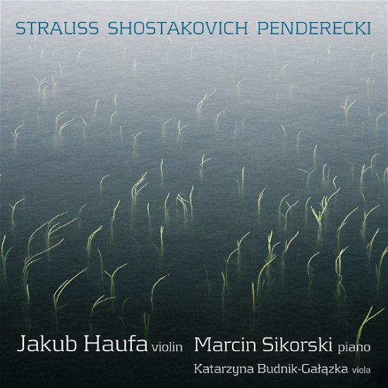 Violin Sonatas - Haufasikorksibudnik - Musikk - CD ACCORD - 5902176501846 - 28. januar 2013