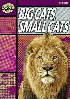 Cover for Dee Reid · Rapid Reading: Big Cats Small Cats (Stage 1, Level 1A) - Rapid (Paperback Book) (2006)