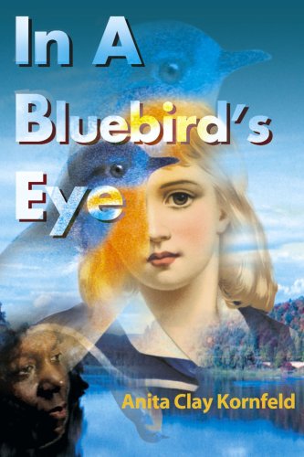 Cover for Anita Kornfeld · In a Bluebird's Eye (Paperback Book) (2000)