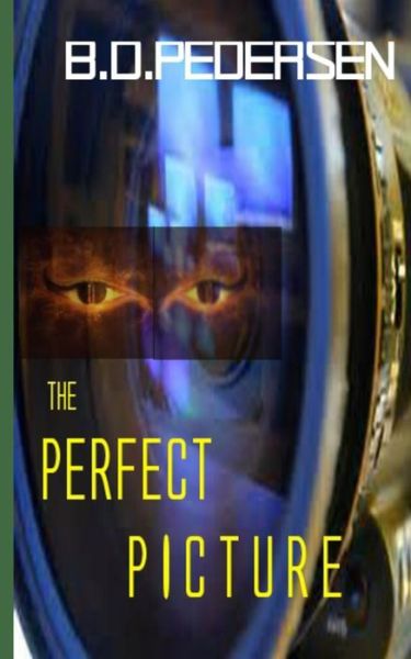 Cover for B. D. Pedersen · The Perfect Picture (Paperback Book) (2014)