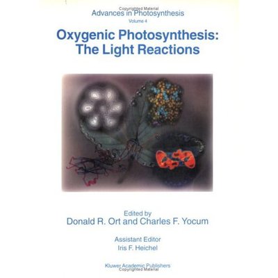 Donald R Ort · Oxygenic Photosynthesis: The Light Reactions - Advances in Photosynthesis and Respiration (Pocketbok) [Softcover reprint of the original 1st ed. 1996 edition] (1996)