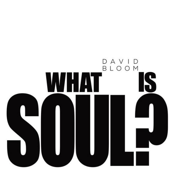Cover for David Bloom · What Is Soul? (Paperback Book) (2019)
