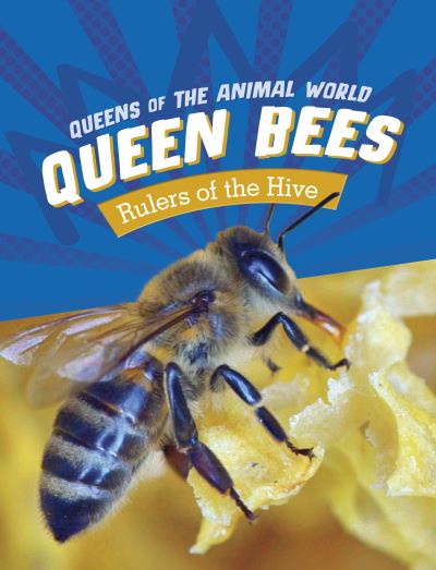 Cover for Maivboon Sang · Queen Bees: Rulers of the Hive - Queens of the Animal World (Paperback Book) (2024)