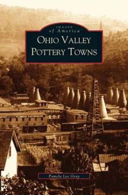 Cover for Pamela Lee Gray · Ohio Valley Pottery Towns (Hardcover Book) (2002)
