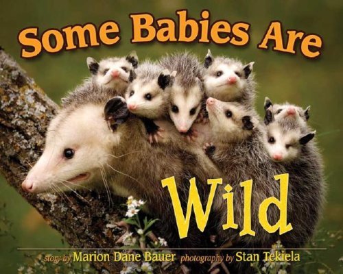 Some Babies Are Wild - Wildlife Picture Books - Marion Dane Bauer - Livros - Advance Publishing In.,US - 9781591930846 - 10 de setembro de 2008