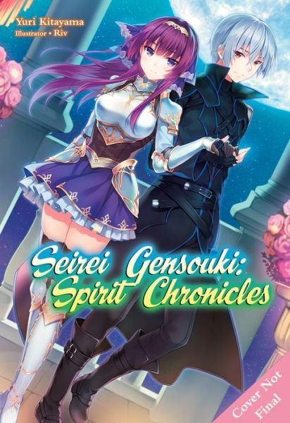 Cover for Yuri Kitayama · Seirei Gensouki: Spirit Chronicles: Omnibus 5 - Seirei Gensouki: Spirit Chronicles (light novel) (Paperback Book) (2022)