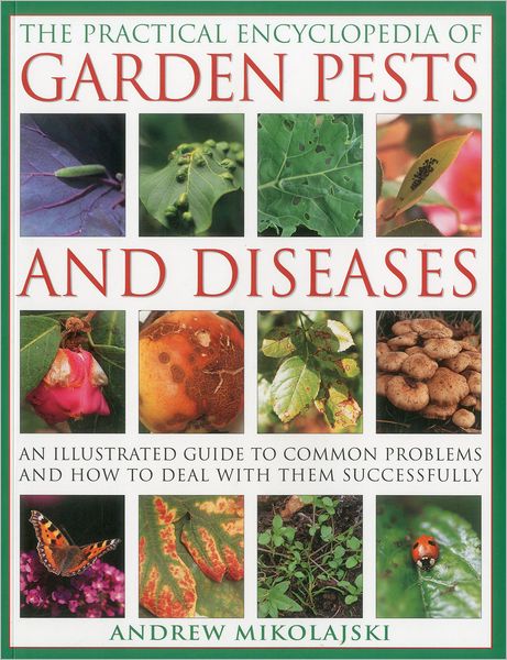 Cover for Andrew Mikolajski · Practical Encyclopedia of Garden Pests and Diseases (Paperback Book) (2012)