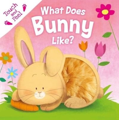 Cover for IglooBooks · What Does Bunny Like? (Book) (2023)