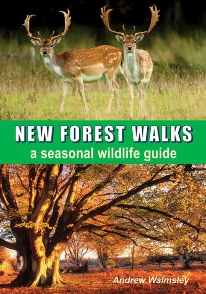 Cover for Andrew Walmsley · New Forest Walks: A Seasonal Wildlife Guide (Paperback Book) (2014)