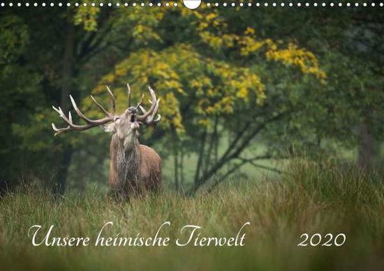 Cover for Reibert · Unsere heimische Tierwelt (Wand (Book)