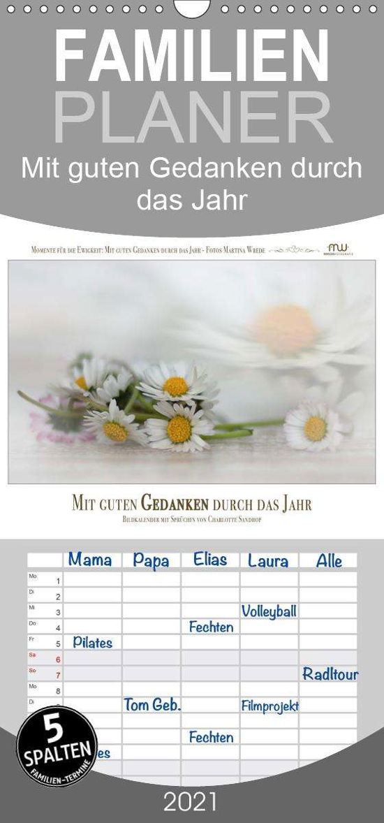 Cover for Wrede · Mit guten Gedanken durch das Jahr (Book)