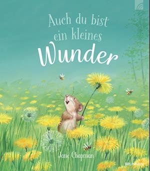 Cover for Jane Chapman · Auch Du Bist Ein Kleines Wunder (Bok)