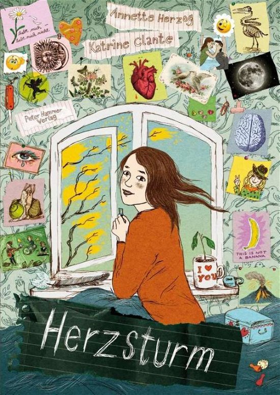 Cover for Herzog · Herzsturm - Sturmherz (Bog)