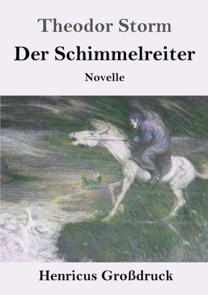 Cover for Theodor Storm · Der Schimmelreiter (Grossdruck) (Pocketbok) (2021)