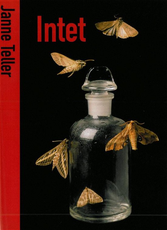 Cover for Janne Teller · Intet (Sewn Spine Book) [2º edição] (2011)