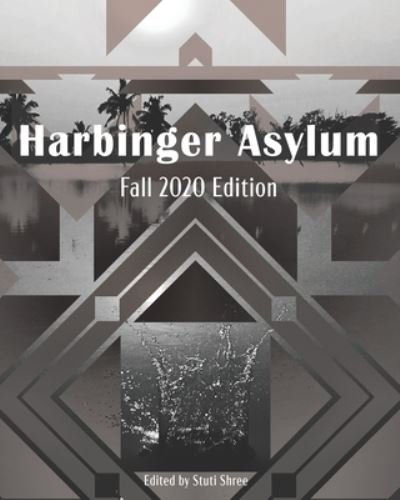 Cover for Z M Wise · Harbinger Asylum (Pocketbok) (2020)