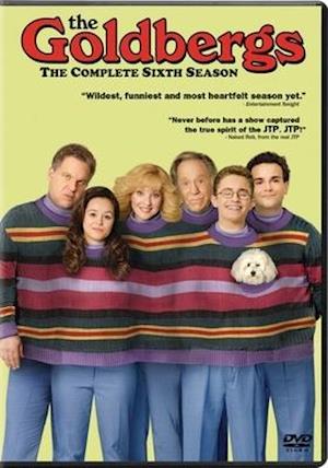 Goldbergs: Season 6 - Goldbergs: Season 6 - Film - ACP10 (IMPORT) - 0043396558847 - 3. september 2019