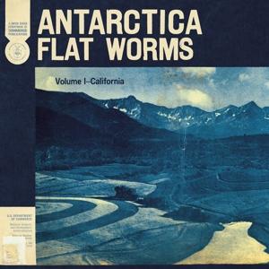 Cover for Flat Worms · Antarctica (Kasetti) (2020)