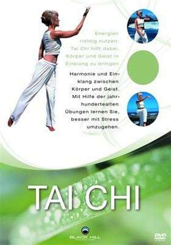 Tai Chi - Movie - Movies - Black Hill Pictures - 4020628971847 - April 3, 2009