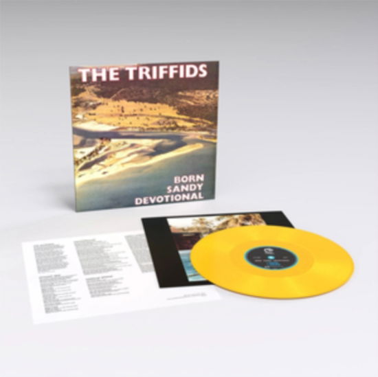 Born Sandy Devotional - Triffids - Music - [PIAS] RECORDINGS CATALOGUE - 5400863096847 - March 22, 2024