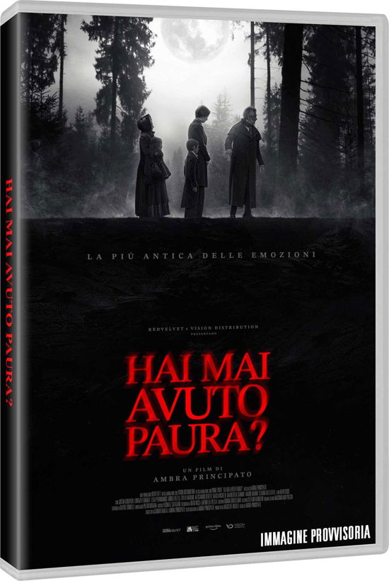 Cover for Hai Mai Avuto Paura? (DVD) (2023)
