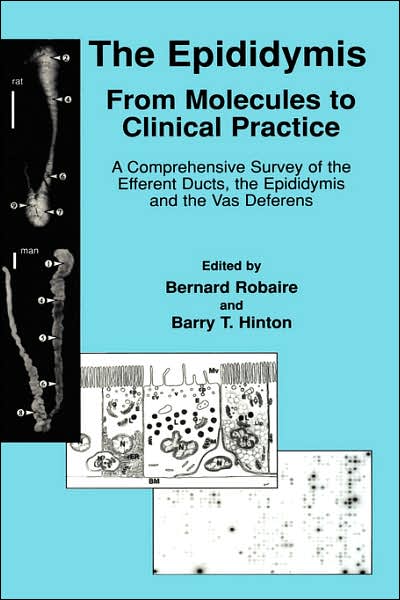 Cover for Bernhard Robaire · The Epididymis: From Molecules to Clinical Practice: A Comprehensive Survey of the Efferent Ducts, the Epididymis and the Vas Deferens (Hardcover Book) [2002 edition] (2001)