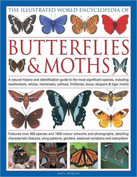 Cover for Sally Morgan · Illustrated World Encyclopedia of Butterflies &amp; Moths (Hardcover Book) (2011)