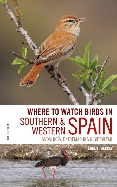 Where to Watch Birds in Southern and Western Spain: Andalucia, Extremadura and Gibraltar - Where to Watch Birds - Ernest Garcia - Books - Bloomsbury Publishing PLC - 9781472951847 - July 25, 2019
