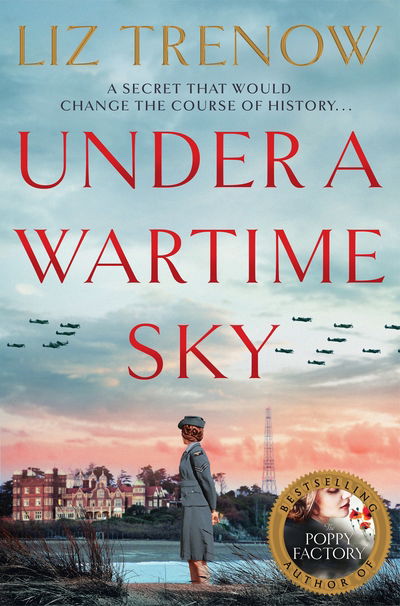 Cover for Liz Trenow · Under a Wartime Sky (Taschenbuch) (2020)