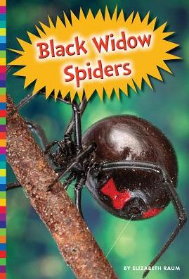 Cover for Elizabeth Raum · Black Widow Spiders (Hardcover Book) (2015)