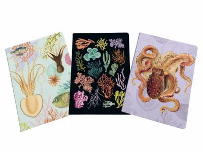 Art of Nature: Under the Sea Sewn Notebook Collection - Art of Nature - Insight Editions - Boeken - Insight Editions - 9781647223847 - 3 augustus 2021