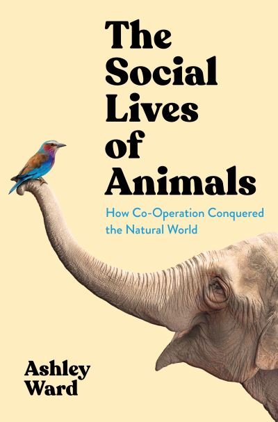 Cover for Ashley Ward · The Social Lives of Animals: How Co-operation Conquered the Natural World (Inbunden Bok) [Main edition] (2022)