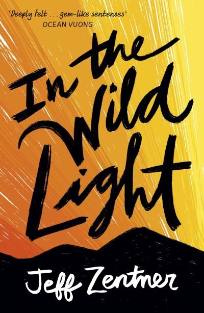 Cover for Jeff Zentner · In the Wild Light (Paperback Bog) (2021)