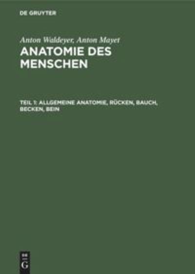 Cover for Anton Waldeyer · Allgemeine Anatomie, Rucken, Bauch, Becken, Bein (Inbunden Bok) (1976)