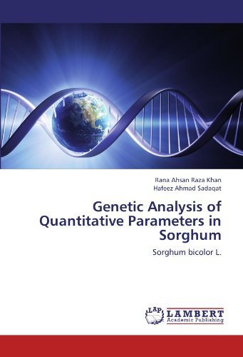 Cover for Hafeez Ahmad Sadaqat · Genetic Analysis of Quantitative Parameters in Sorghum: Sorghum Bicolor L. (Pocketbok) (2012)