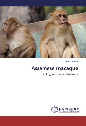 Cover for Prabal Sarkar · Assamese Macaque: Ecology and Social Dynamics (Taschenbuch) (2014)