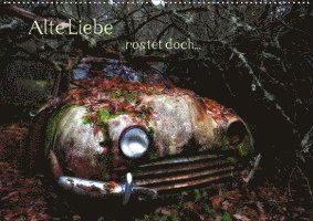 Cover for Rosin · Alte Liebe rostet doch... (Wandka (Book)