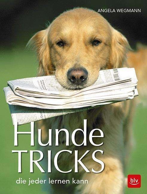 Cover for Wegmann · Hundetricks (Bok)